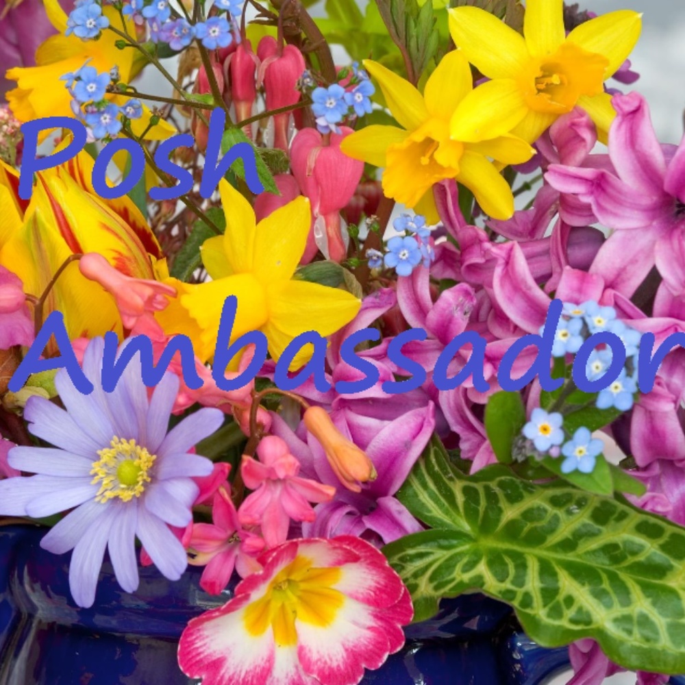 Posh Ambassador